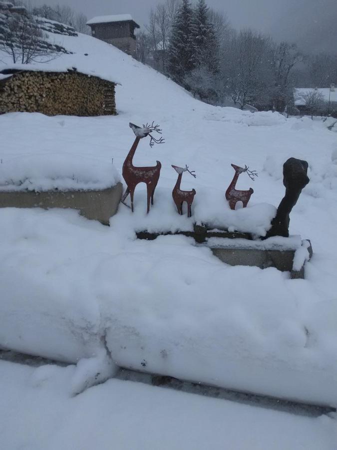 Chalet Genepi Apartment Montriond Exterior foto